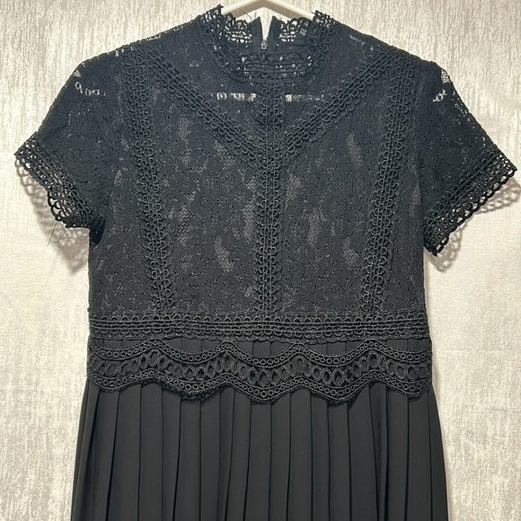 Zara Basics Lace & Pleated Dress - Picture 1 of 14
